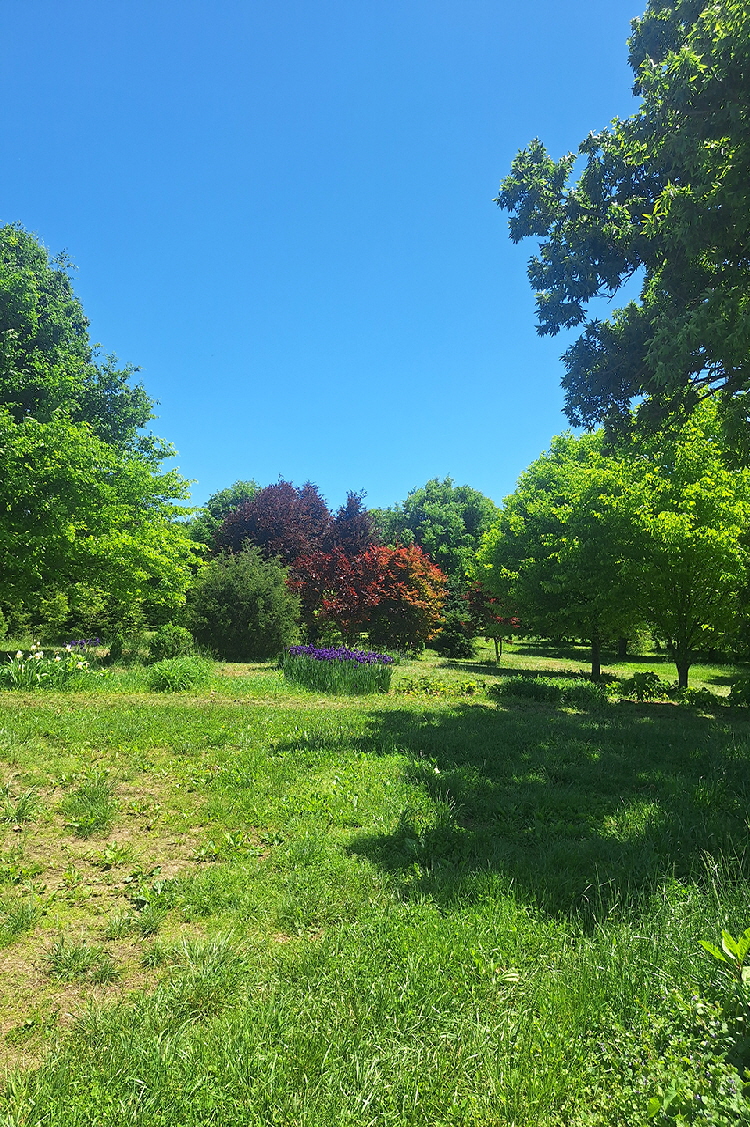 spring 25 a spring 25 a